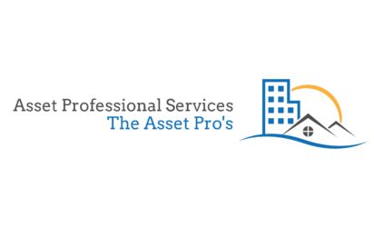 Asset Professional Services LLC